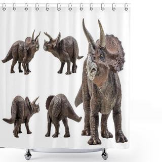 Personality  Triceratops  ,dinosaur On White Background  . Shower Curtains