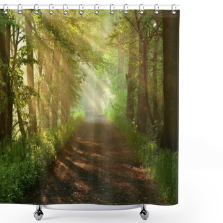 Personality  Beautiful Morning In Forest Shower Curtains