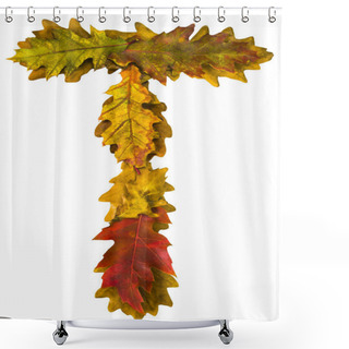 Personality  October. Text Made By Autumn Leaves. English Alphabet. Oak Foxes. Font For Design. Natural Colors. Natural Nature Shot. Autumn Design. True Natural Beauty. Shower Curtains