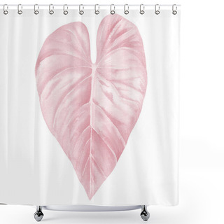 Personality  Pink Watercolor Leaf. Beautiful Tropical Leaf With Streaks. Pale Pink Watercolour Illustration Isolated On White.  Shower Curtains