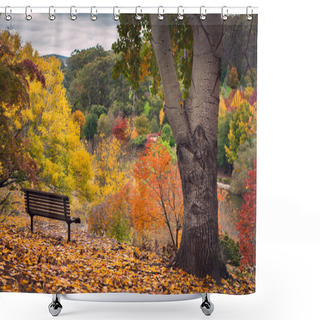 Personality  Autumn View Shower Curtains
