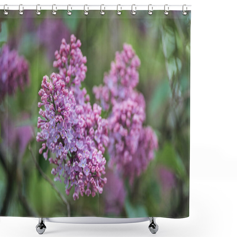 Personality  close up view of lilac branch with small violet flowers shower curtains