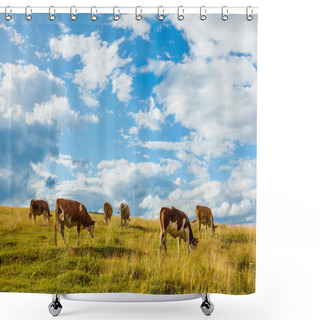 Personality  Herd Of Cows Grazing On Field Shower Curtains