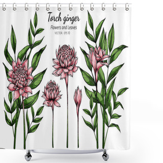Personality  Set Of Pink Torch Ginger Flower And Leaf Drawing Illustration With Line Art On White Backgrounds Shower Curtains