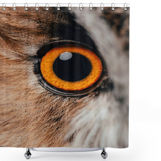 Personality  Close Up View Of Wild Owl Bright Eye Shower Curtains