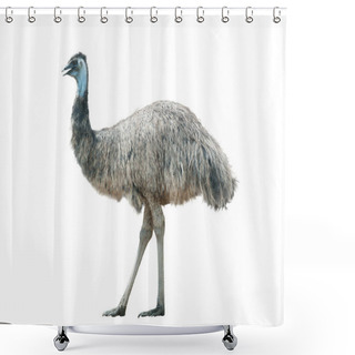 Personality  Emu Isolated Over A White Background Shower Curtains