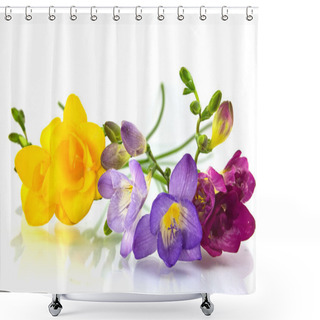Personality  Yellow And Violet Fresia On White Shower Curtains