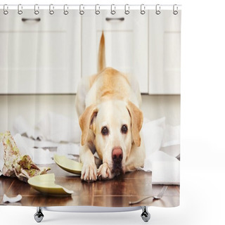 Personality  Naughty Dog In The Kitchen Shower Curtains