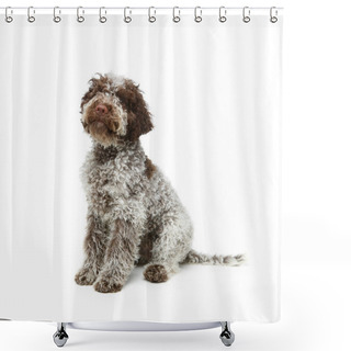 Personality  Beautiful Brown Fluffy Puppy Shower Curtains