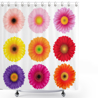 Personality  Big Colorful Gerbers Flowers Set Shower Curtains