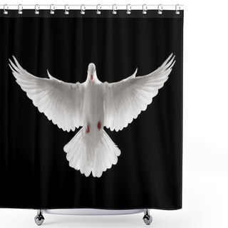 Personality  Flying Dove Shower Curtains