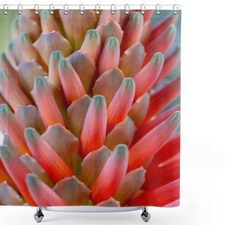 Personality  Beautiful Aloe Vera Flower Bud. Shower Curtains