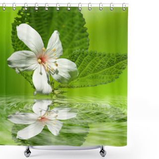 Personality  Beautiful Tung Flowers Shower Curtains