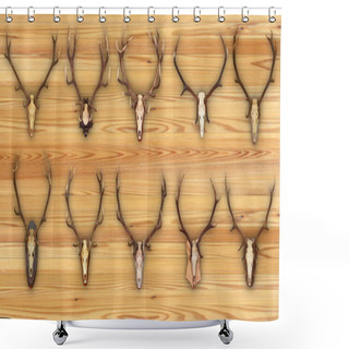 Personality  Collection Of Hunting Trophies On Wooden Background Shower Curtains