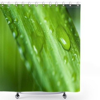 Personality  Close Up View Of Green Leaf With Water Drops On Blurred Background  Shower Curtains