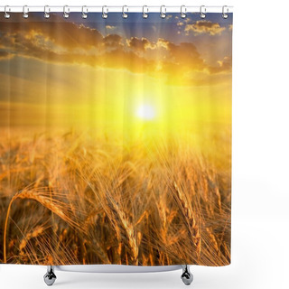 Personality  Wheat Field In A Rays Of Sun Shower Curtains