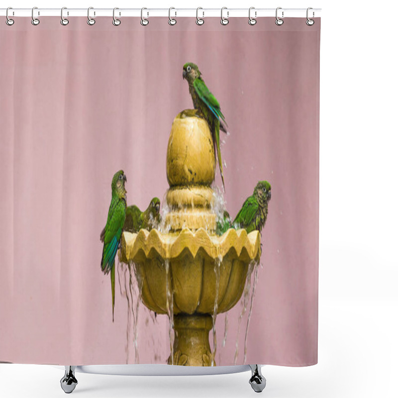 Personality  A Shot Of A Group Of Maroon-bellied Parakeet Drinking Water Shower Curtains