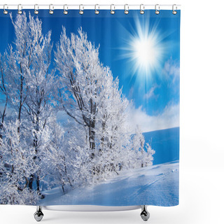 Personality  Winter In The Mountains Shower Curtains