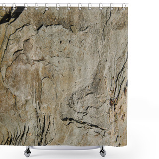 Personality  Top View Of Brown Rough Textured Stone Shower Curtains