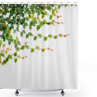 Personality  Wall Of Ivy Shower Curtains