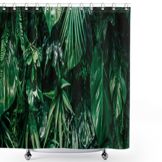 Personality  Tropical Leaves As Nature And Environmental Background, Botanical Garden And Floral Backdrop, Plant Growth And Landscape Design. Shower Curtains