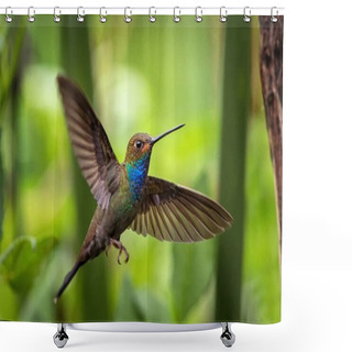Personality  White-tailed Hillstar Hovering In The Air, Garden, Tropical Forest, Colombia, Bird On Colorful Clear Background,beautiful Hummingbird With Blue Throat And Outstretched Wings,nature Wildlife Scene Shower Curtains