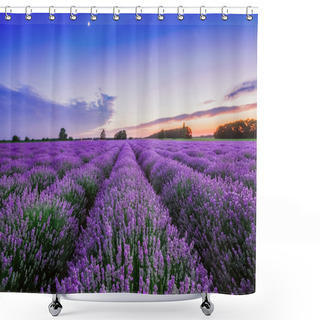 Personality  Sunrise And Dramatic Clouds Over Lavender Field Shower Curtains