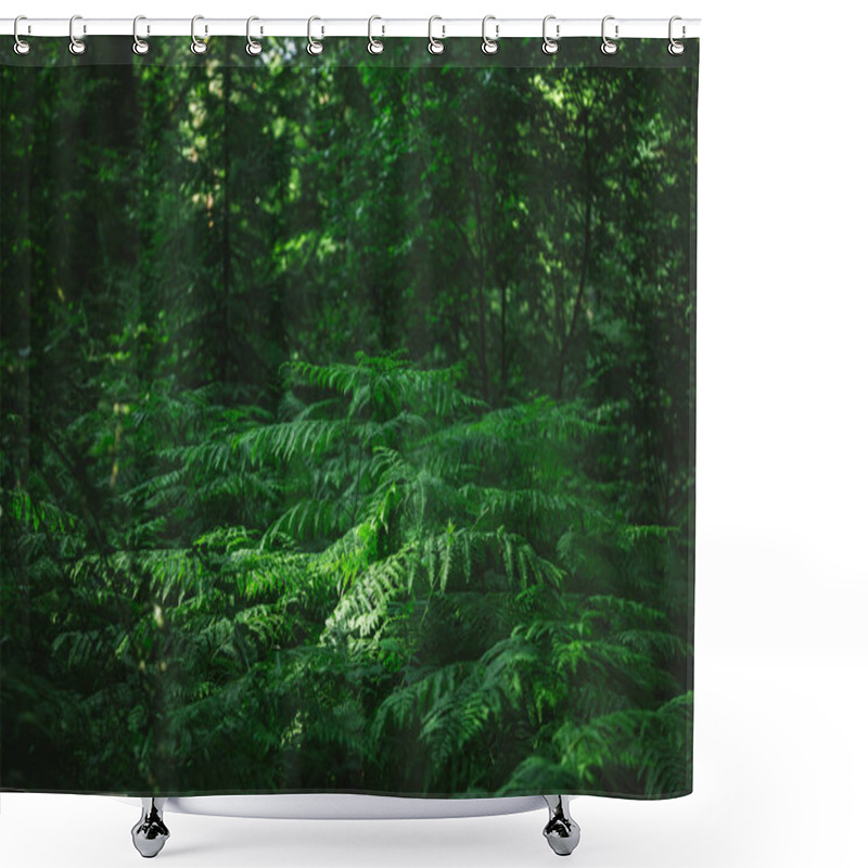 Personality  Green Shower Curtains