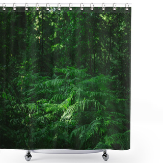 Personality  Green Shower Curtains
