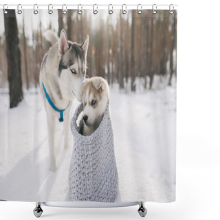 Personality  Husky Shower Curtains