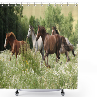 Personality  Batch Of Horses Running In Flowered Scene Shower Curtains