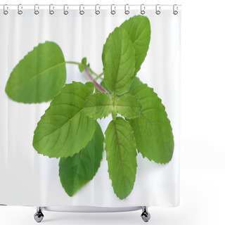 Personality  Medicinal Red Tulsi Leaves Shower Curtains