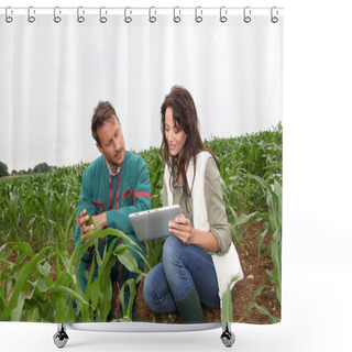 Personality  Farmer And Researcher Analysing Corn Plant Shower Curtains