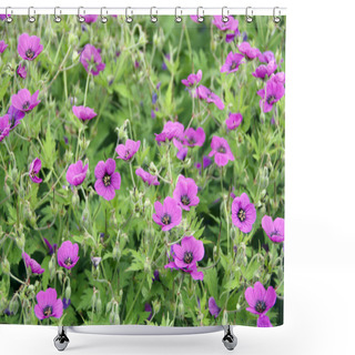 Personality  Cranesbill Shower Curtains