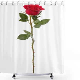 Personality  Red Rose Shower Curtains