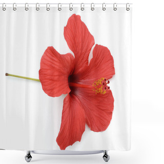 Personality  Hibiskus  Hibiscus Rosa-sinensis Shower Curtains