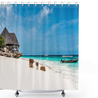 Personality  Picturesque Landscape With Cows And House On The Beach, Zanzibar Shower Curtains