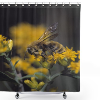 Personality  Bumblebee Shower Curtains