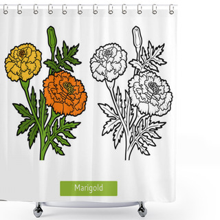Personality  Coloring Book, Flower Marigold Shower Curtains