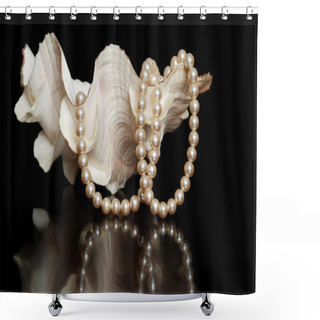Personality  Cream Colored Pearls In A Sea Shell Shower Curtains