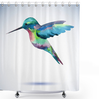Personality  Hummingbird Watercolor Painting Bird On The White Background. Shower Curtains