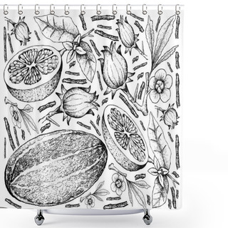 Personality  Hand Drawn Of Fresh Fruits On White Background Shower Curtains