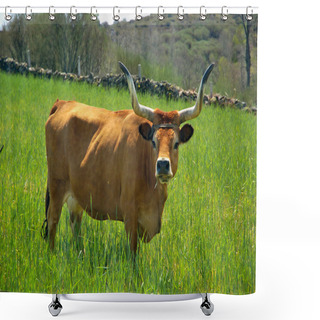 Personality  Cow Shower Curtains