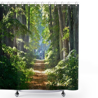 Personality  Rural Gravel Road (alley) Through Mighty Green Linden Trees. Soft Sunlight, Sunbeams. Fairy Forest Landscape. Picturesque Scenery. Pure Nature. Art, Hope, Heaven, Loneliness, Wilderness Concepts Shower Curtains