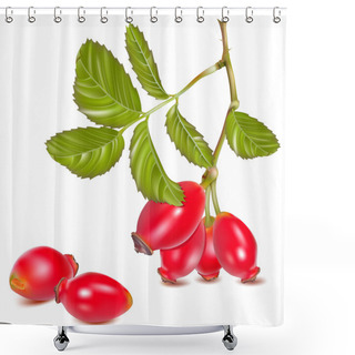 Personality  Red Rose Hip. Shower Curtains