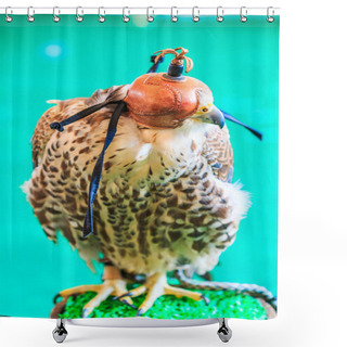 Personality  A Red-tailed Hawk ( Shower Curtains