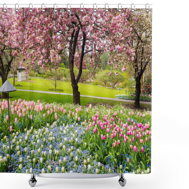 Personality  Tulip border under blossoming cherry trees in the spring garden shower curtains