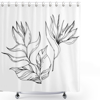 Personality  Vector Palm Beach Tree Leaves Jungle Flowers. Black And White Engraved Ink Art. Isolated Flower Illustration Element. Shower Curtains