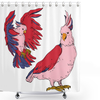 Personality  Vector Sky Bird Cockatoo In A Wildlife Isolated. Black And White Shower Curtains