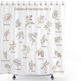 Personality  Set Of Different Tree Branches Shower Curtains